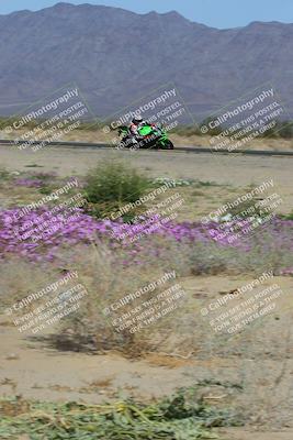 media/Feb-04-2023-SoCal Trackdays (Sat) [[8a776bf2c3]]/Turn 15 Inside Blooming (1050am)/